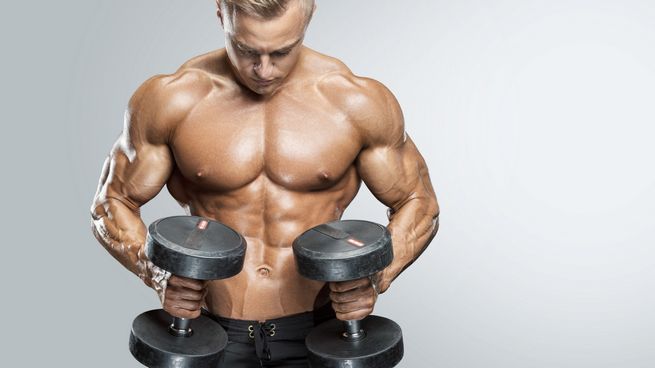 Positive Effekte von Steroiden im Bodybuilding: Studien zeigen Ergebnisse und Wirksamkeit